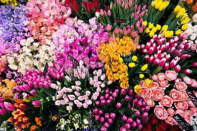 《地平线：西之绝境》大量细节公开 战斗、攀爬、游泳等