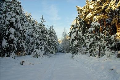 《剑星》开发商向全体员工赠送Switch2 真是羡煞旁人